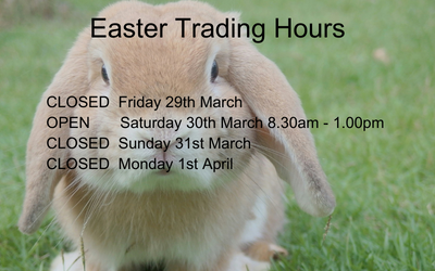 easter-trading-hours-web-popup-400x250px